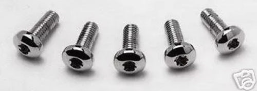 Chrome Front Torx Style Rotor Bolts 5/16